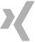 xing icon